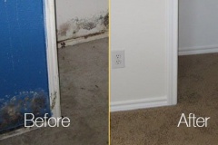 mold-cleaning-before-after