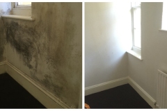 2BR-Wall